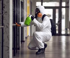 Best Black Mold Removal  in USA